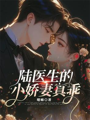 陆医生宠妻成瘾第一章